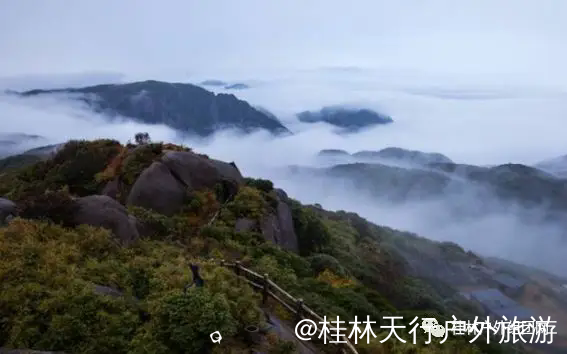 640.webp (3).png