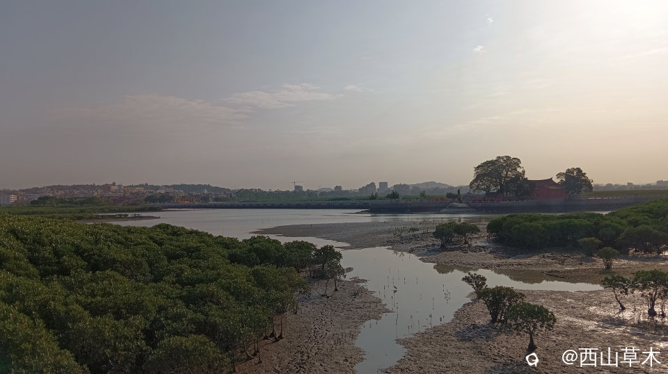 两岸滩涂.jpg