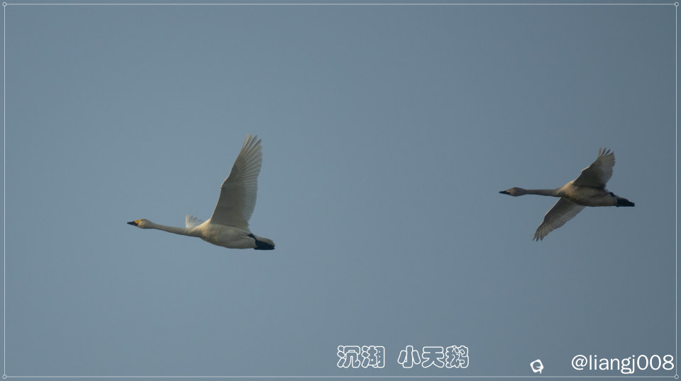 DSC07159_副本.jpg