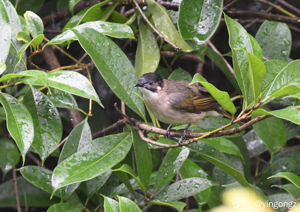DSC_7434_副本.jpg