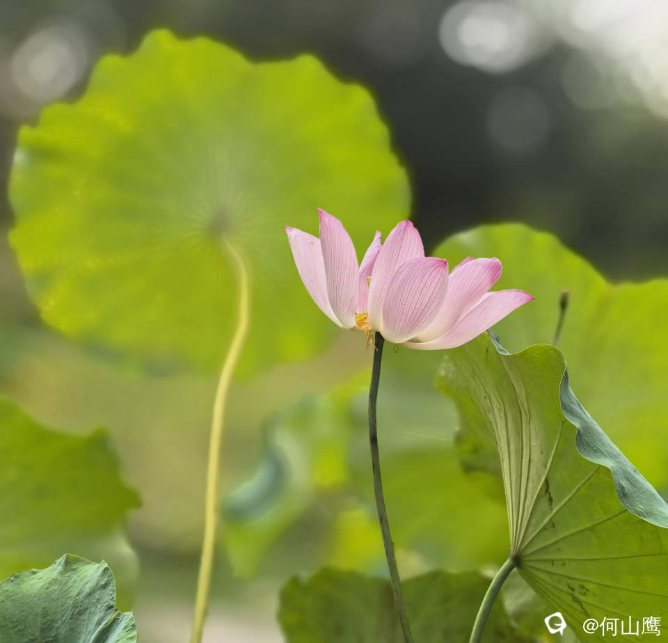 8f6e5cf0-b5a8-1e8c-113b-4863ab149bc5.jpg