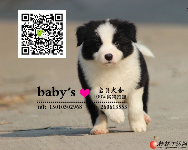 ���ִ��ֱ�����Ȯ����Ǯһֻ