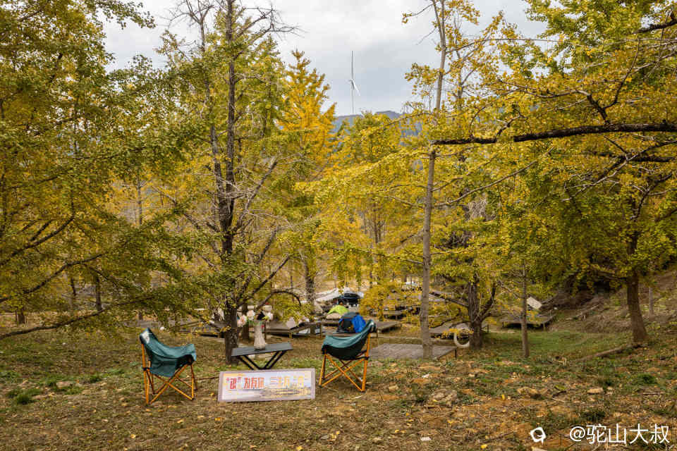 DSC04029-0 - 副本.jpg