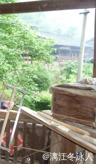 91efa800-5b19-4d03-a56e-5e2448647173 (2).jpg