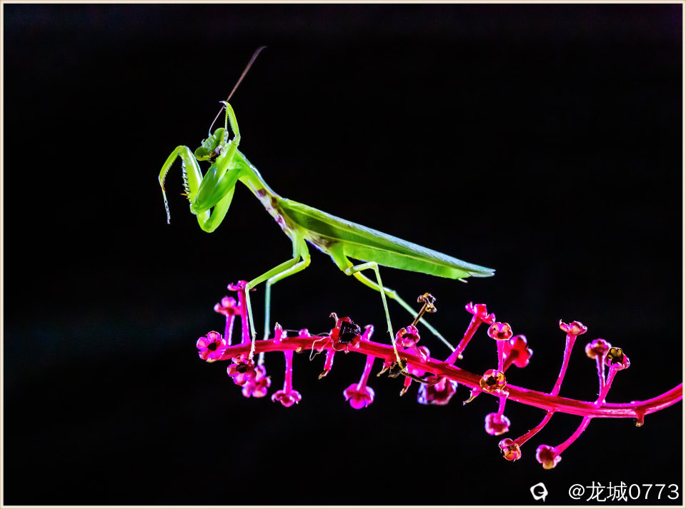 f026f512-9bf6-3a44-9d4b-e536a88a88a6.jpg