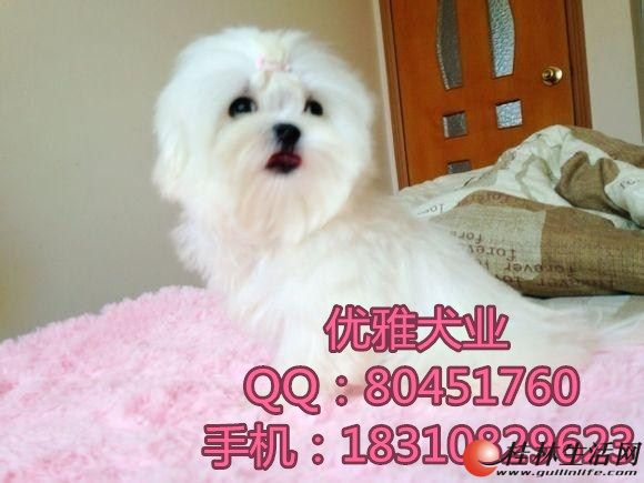 	 ��Ʒ��Ʒ���ȳ賬�ɰ� ������˹��Ȯ