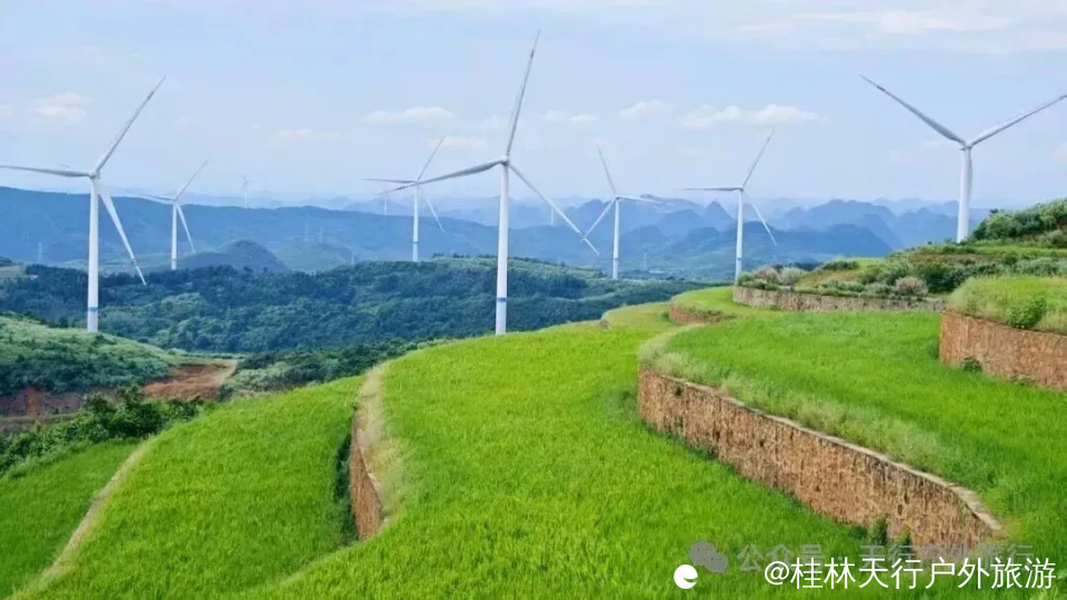 640 (1).webp (3).png