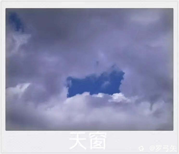 d6969b10-3625-d241-72a1-7dc1493d70d4.jpeg