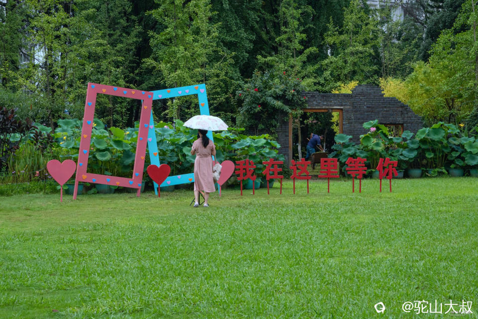 DSC09179-0_副本.jpg