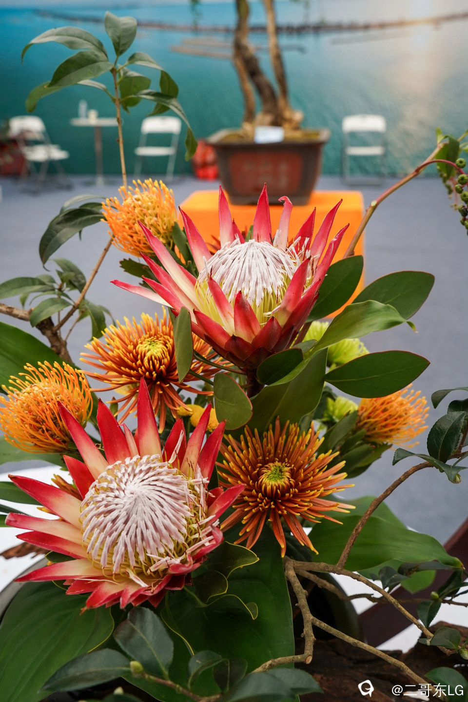 南方第三届花卉苗木交易会 (31).jpg