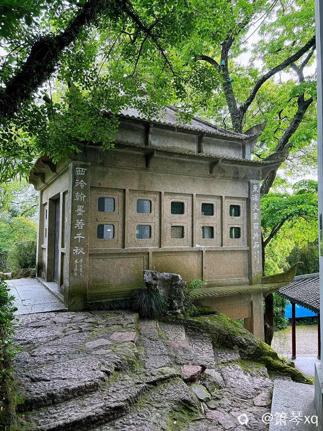 37.jpg