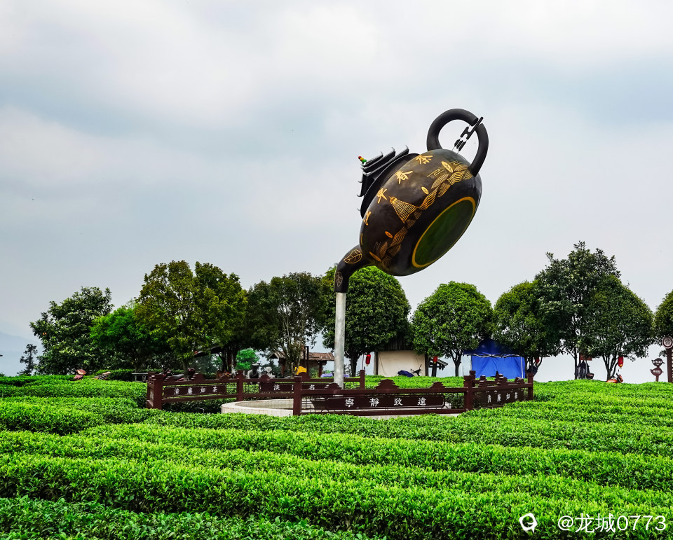 DSC08021-p.jpg