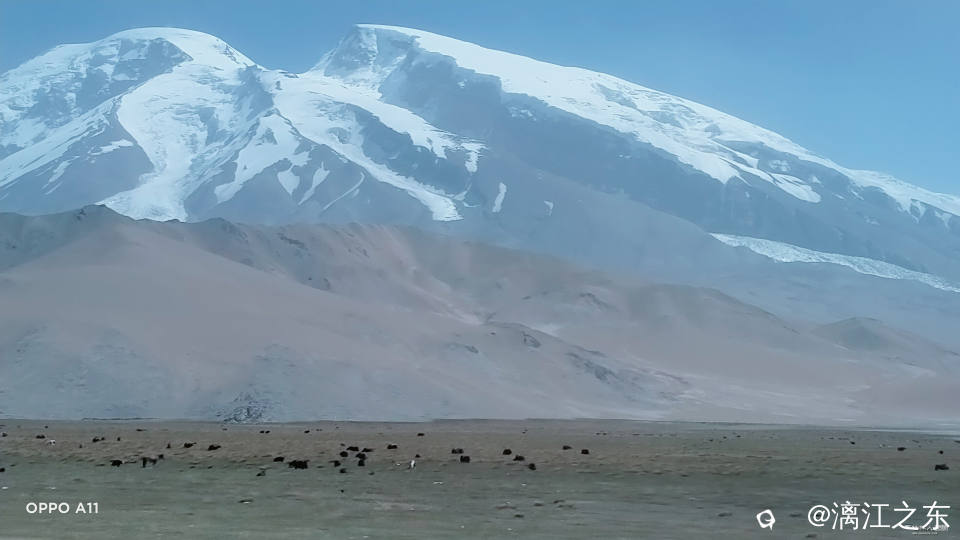 IMG20250904155947 - 副本.jpg