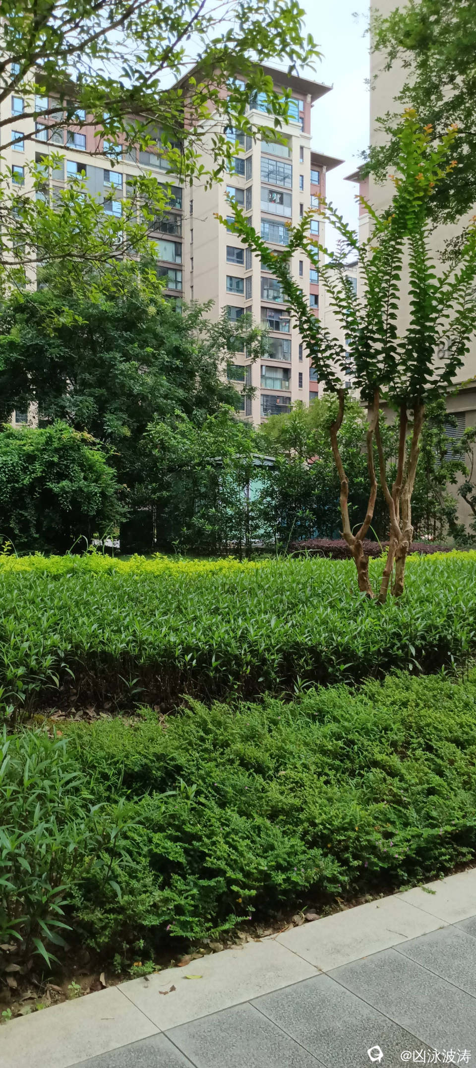 79a540c5-ebef-0dcc-cb9d-901b3f554a93.jpg
