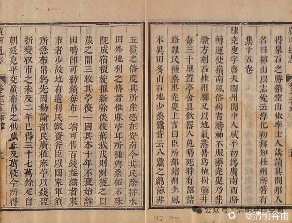 24fbef36-f906-e95b-d4c5-b07570bd7717.jpg