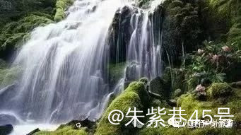 mmexport72658a4c0b7c957b9874b314711af5de_1712965429314.jpeg