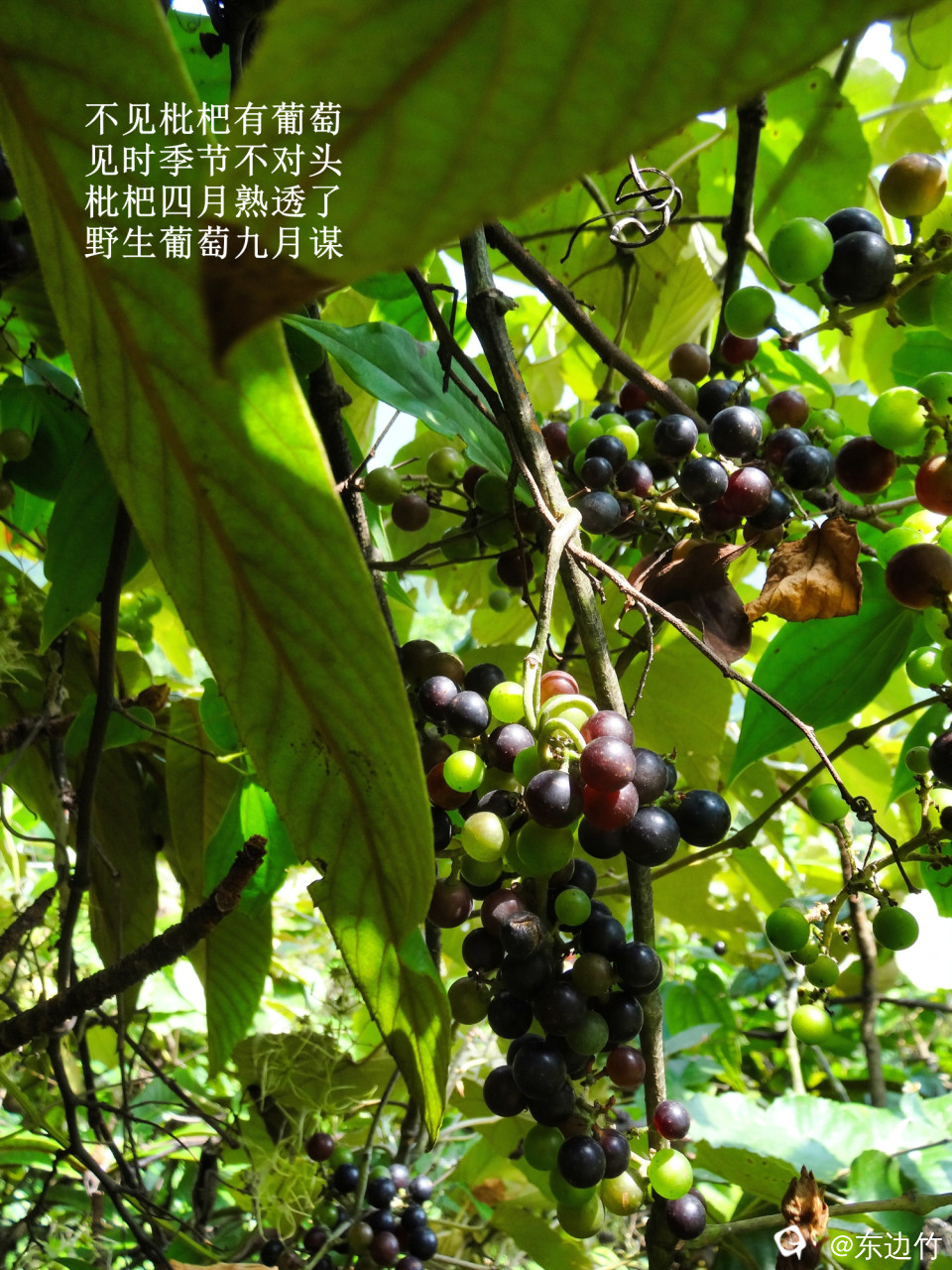 516_副本.jpg