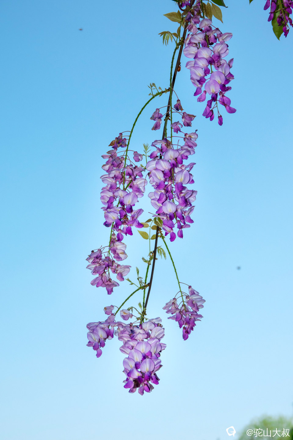 DSC01532-0 - 副本.jpg