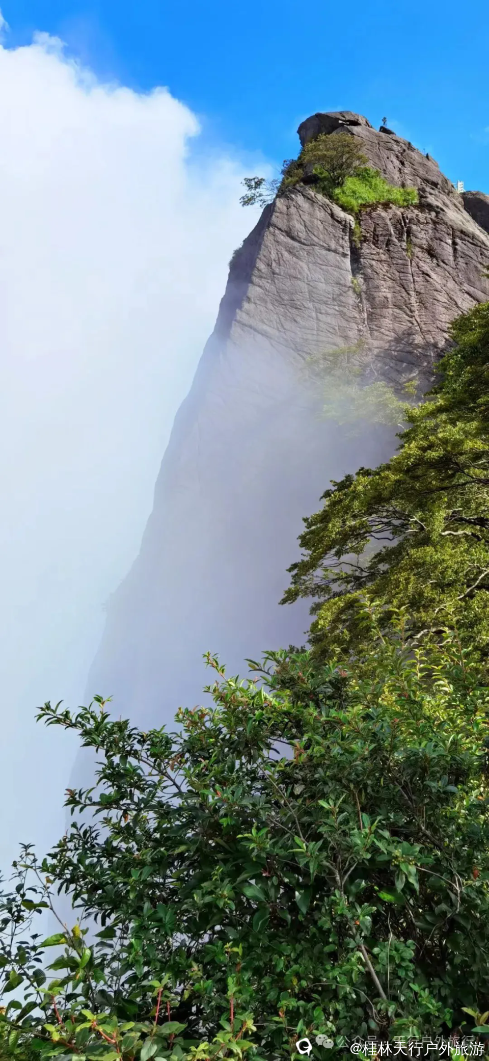 640.webp (3).png