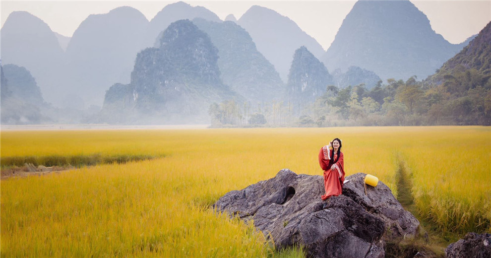 【年度有奖征集】我的2025