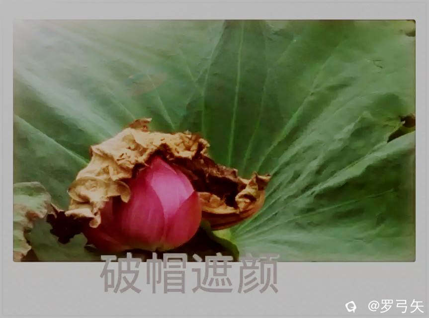 338f0f91-cec5-bb95-7a50-43df4991d0b0.jpg
