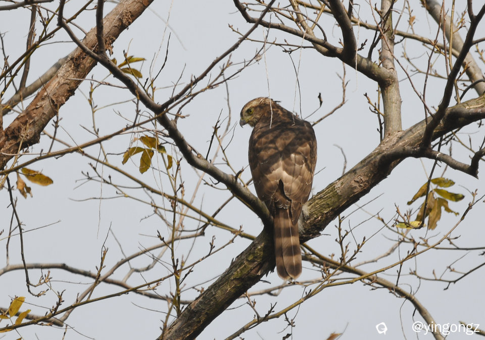 DSC_2507_副本.jpg