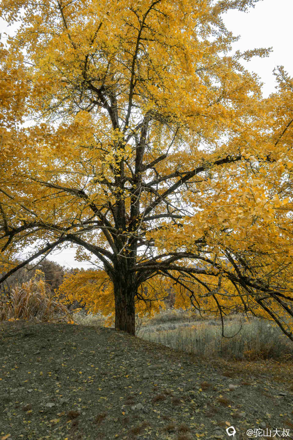 DSC03933-0 - 副本.jpg