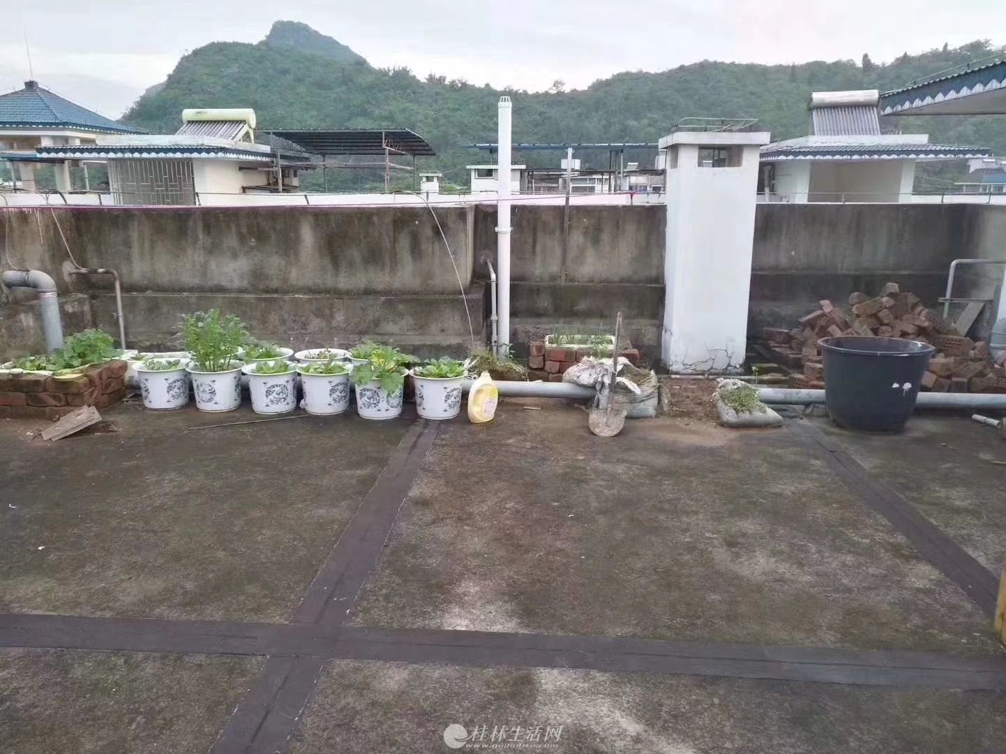 xq۹԰¥390ƽ195ݷҾ߼ҵȫͺʿ