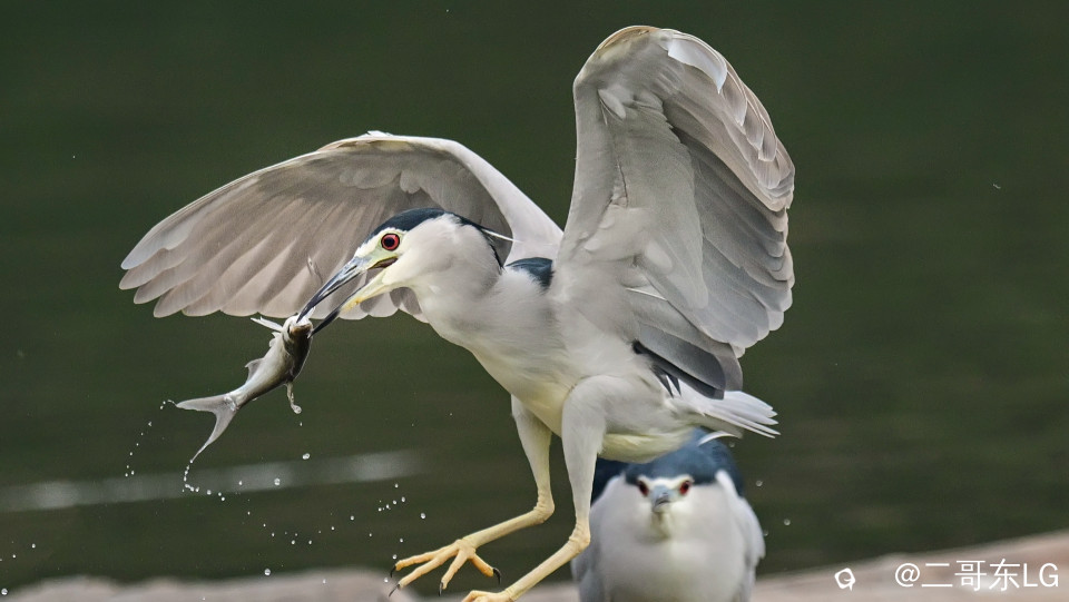 夜师傅干饭 (3).jpg