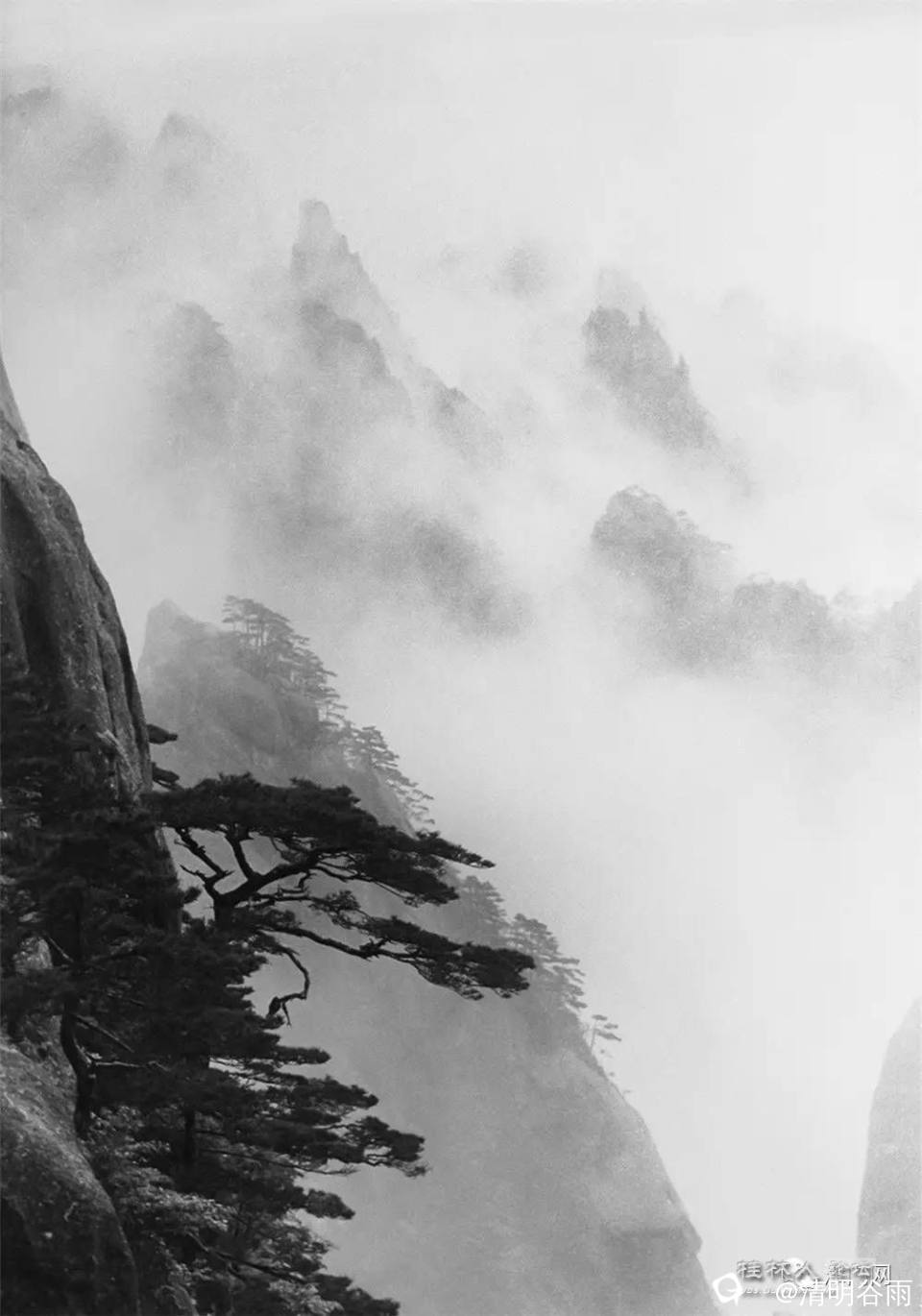 黄翔《飒飒东风阵雨来》 1959.jpg