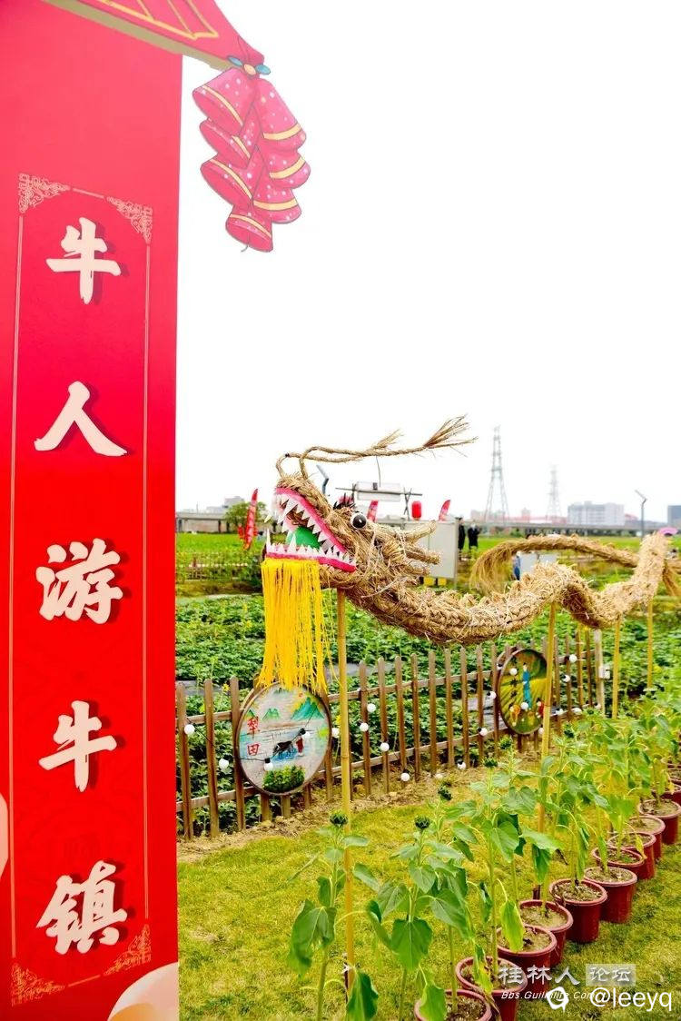 下载.webp.jpg
