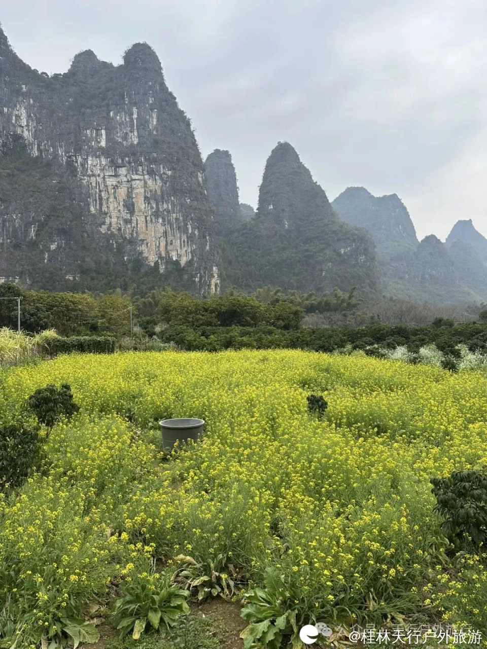 640 (1).webp (4).png