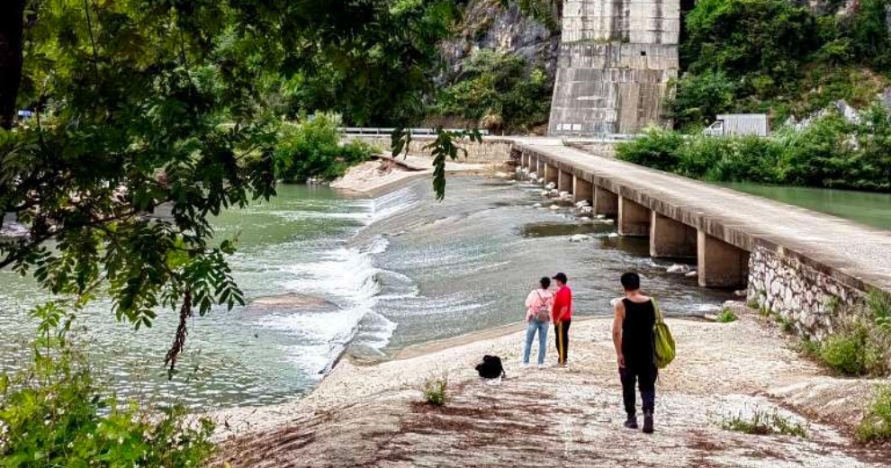 野山野水的呼喚