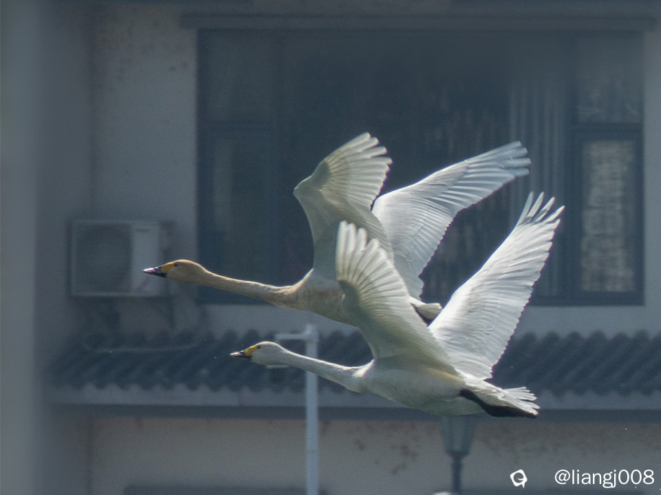 DSC01502_副本_副本.jpg