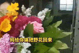 这样的婆媳关系太令人羡慕了！儿子儿媳结婚纪念日，婆婆送来亲手扎的花束：&ldquo;在我家11年了，辛苦啦&rdquo;