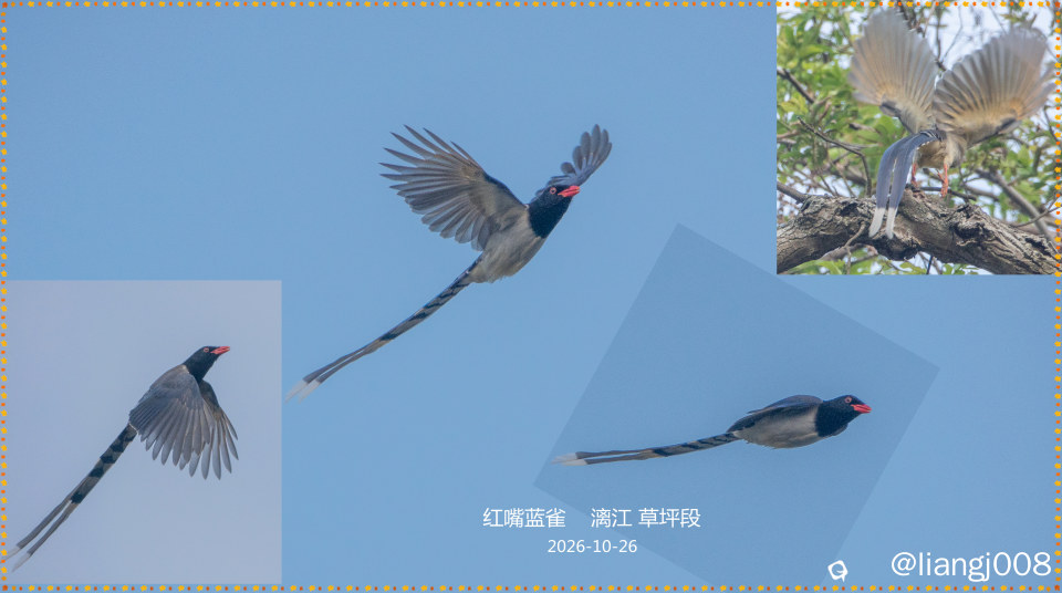 DSC02263_副本_副本.jpg