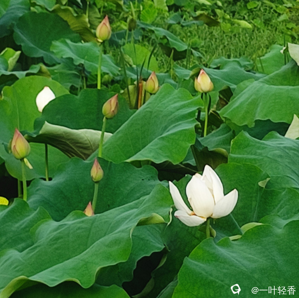 微信图片_20240629153740.jpg