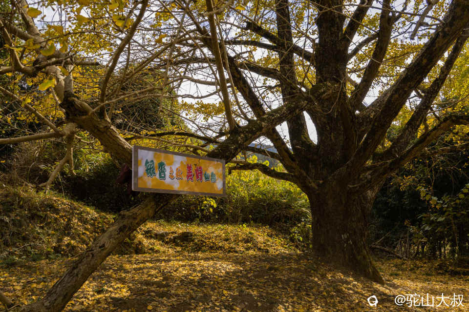 DSC04095-0 - 副本.jpg