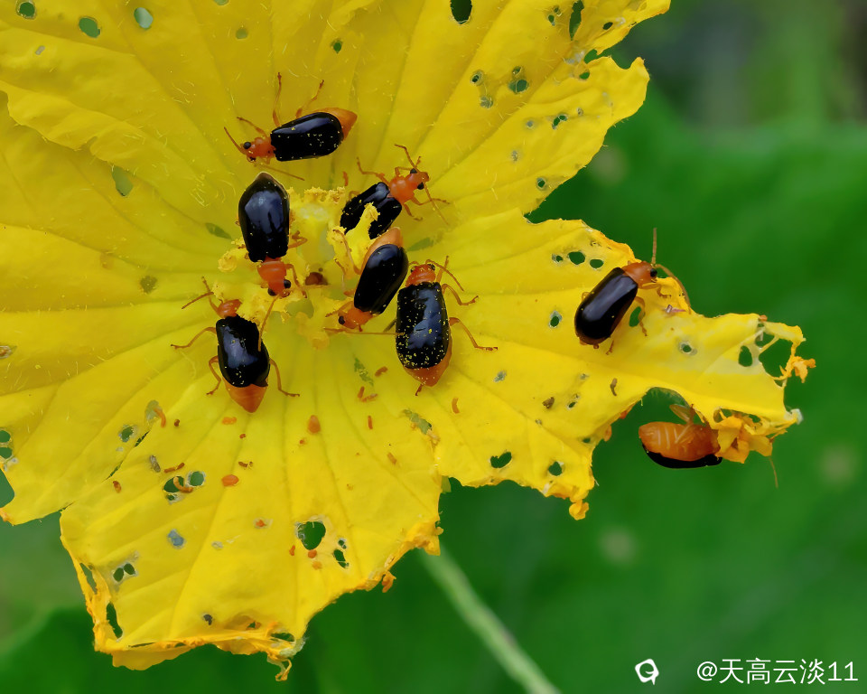 5D2A3761_副本-DeNoiseAI-denoise.jpg