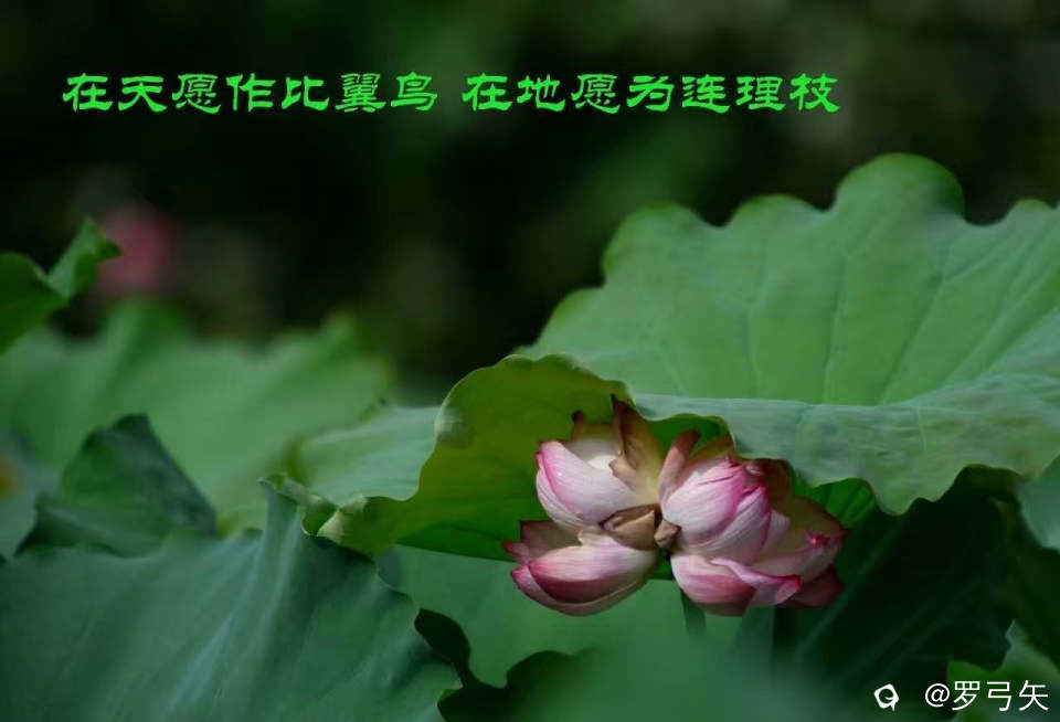 7d10b8c7-b73f-51ec-e93b-e8e9b7dc5b50.jpg