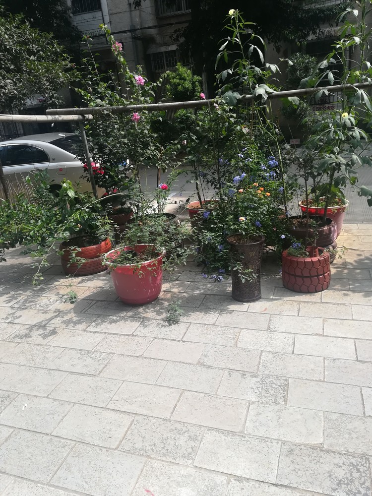 ����������·��ͨСѧ���ɽС��2��62ƽ39.5��