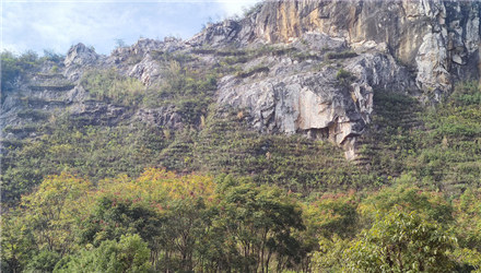 山水公园有一头大象