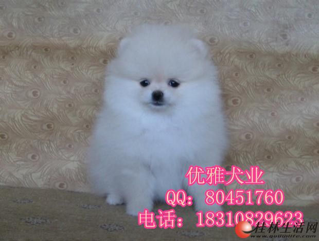 ����Ȯ����Ǯ����Ȯ�۸���ȮͼƬ