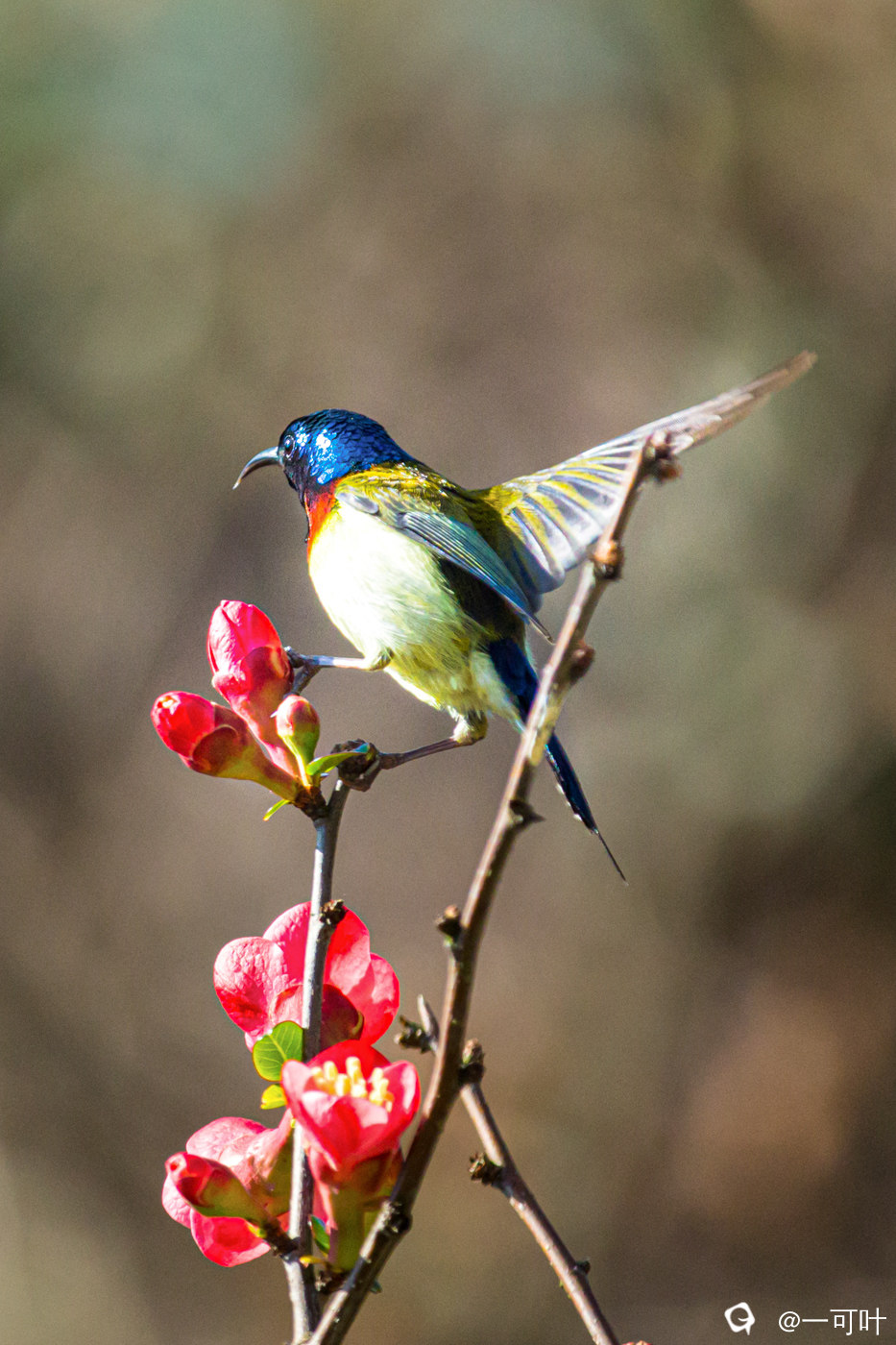 a7IMG_6537.jpg