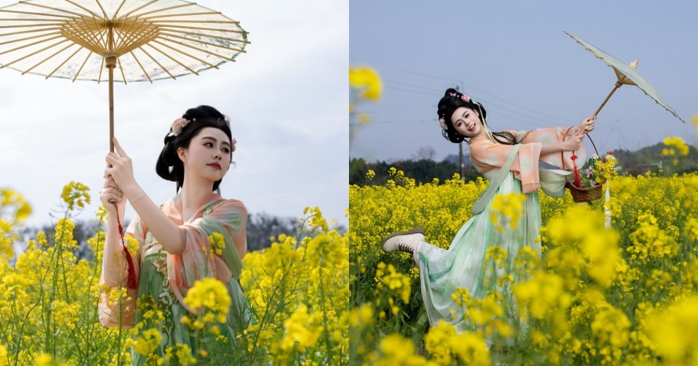 车田村油菜花开～