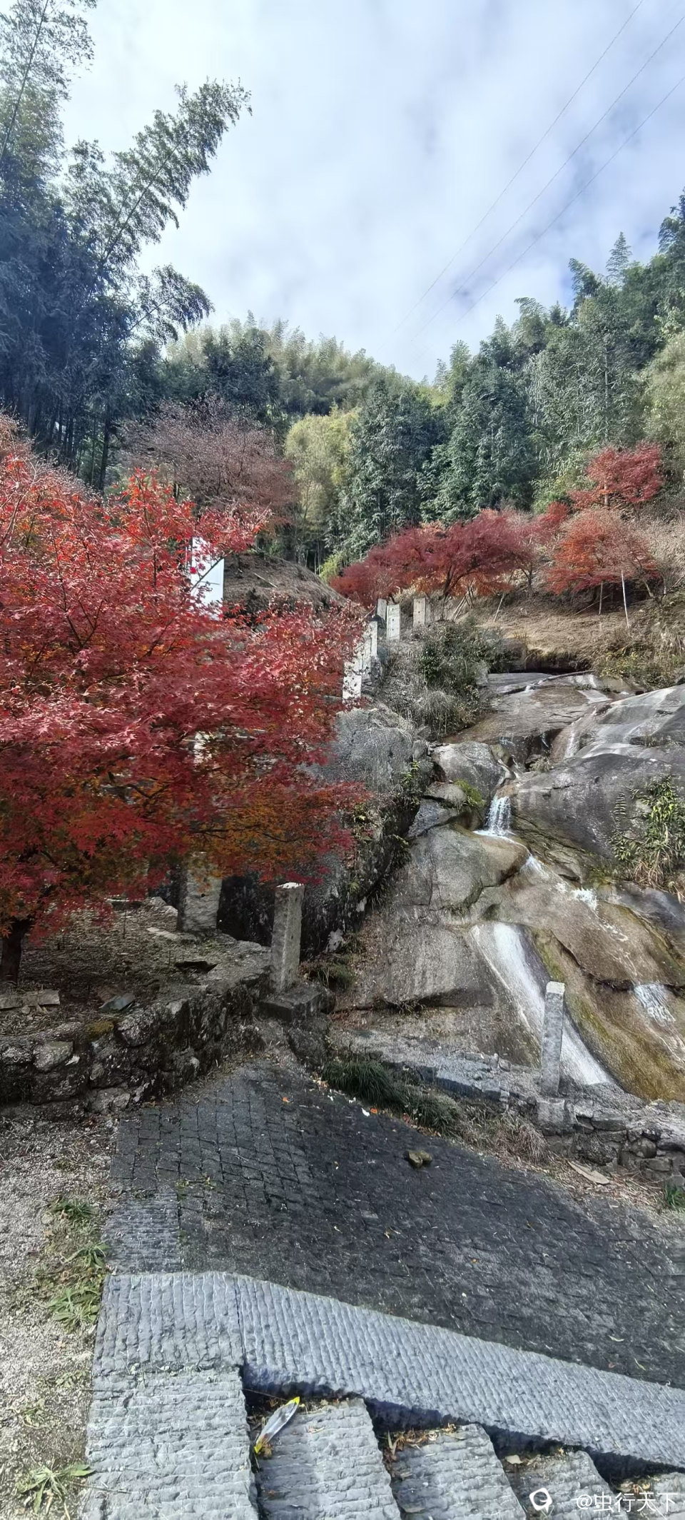 微信图片_20251201160041_193_88.jpg