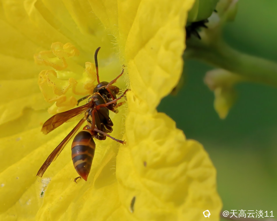 IMG_2541_副本-DeNoiseAI-denoise.jpg