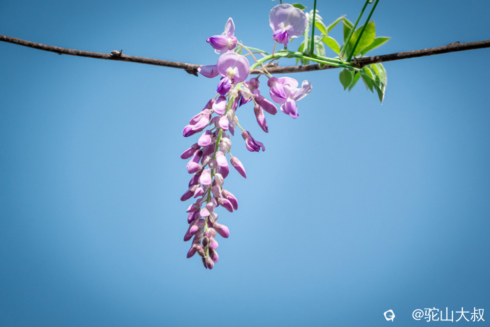 DSC01512-0 - 副本.jpg