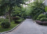 ������  ����·�к�Ԫ�� ������ �˽���԰�ԹڳǴ�ͨС��  ��������   ������¶̨