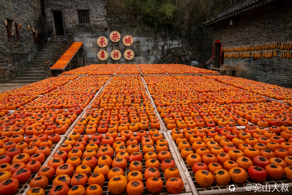 DSC09835-0 - 副本.jpg